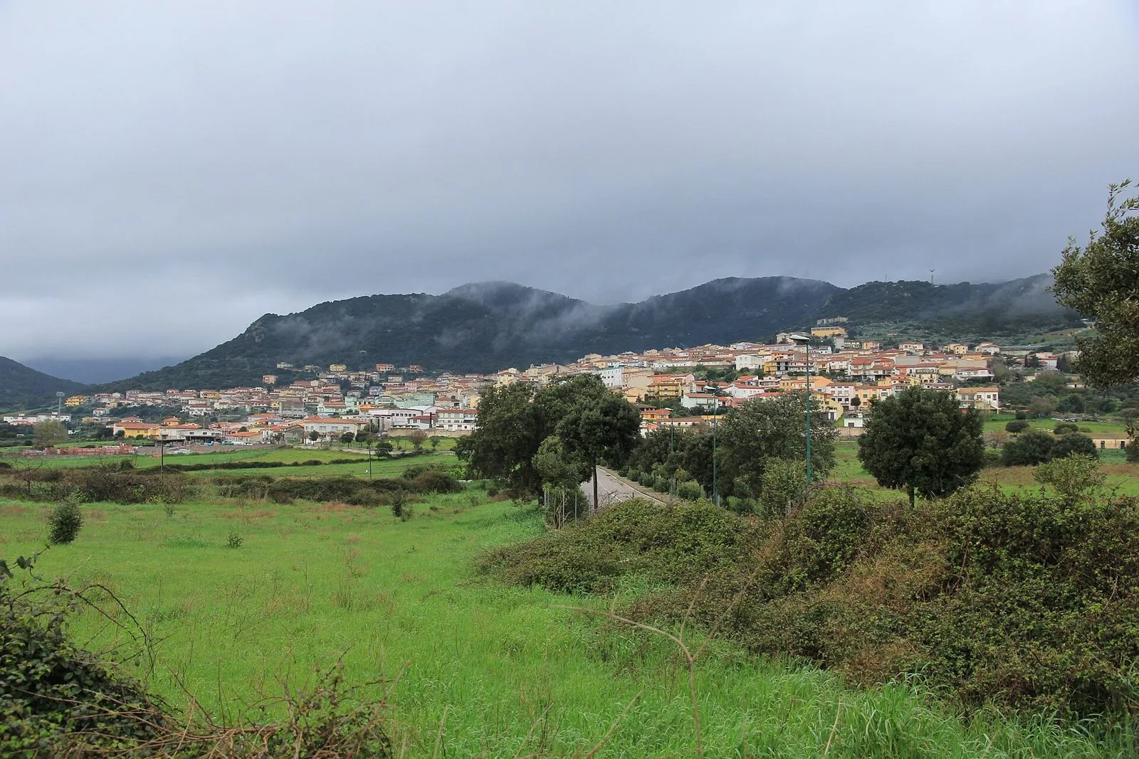 Panorama di Berchidda con le case colorate distese ai piedi delle colline boscose del Limbara